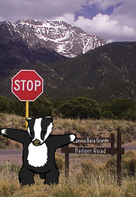 Badger_Road.jpg